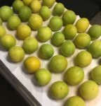 梅酒の作り方 （おまけ：グレープフルーツ酒も）