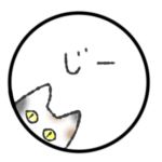 生まれ変わったら本当にネコになりたい？