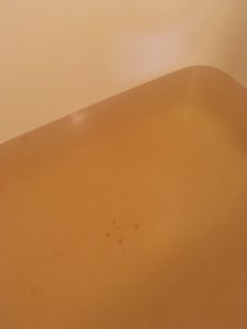 爆汗湯とろり